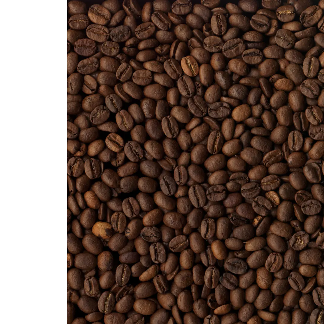 diseño con granos de cafe